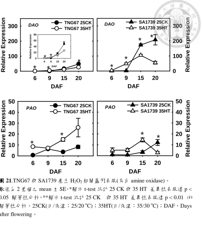 圖 21.TNG67 與 SA1739 產生 H 2 O 2 相關基因表現(來自 amine oxidase)。 