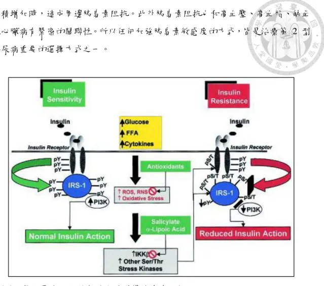 Figure 2-3. The role of serine kinase activation in oxidative stress-induced insulin  resistance