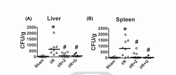Figure 4 I/R-induced enteric bacterial translocation is diminished by ZVAD or glucose