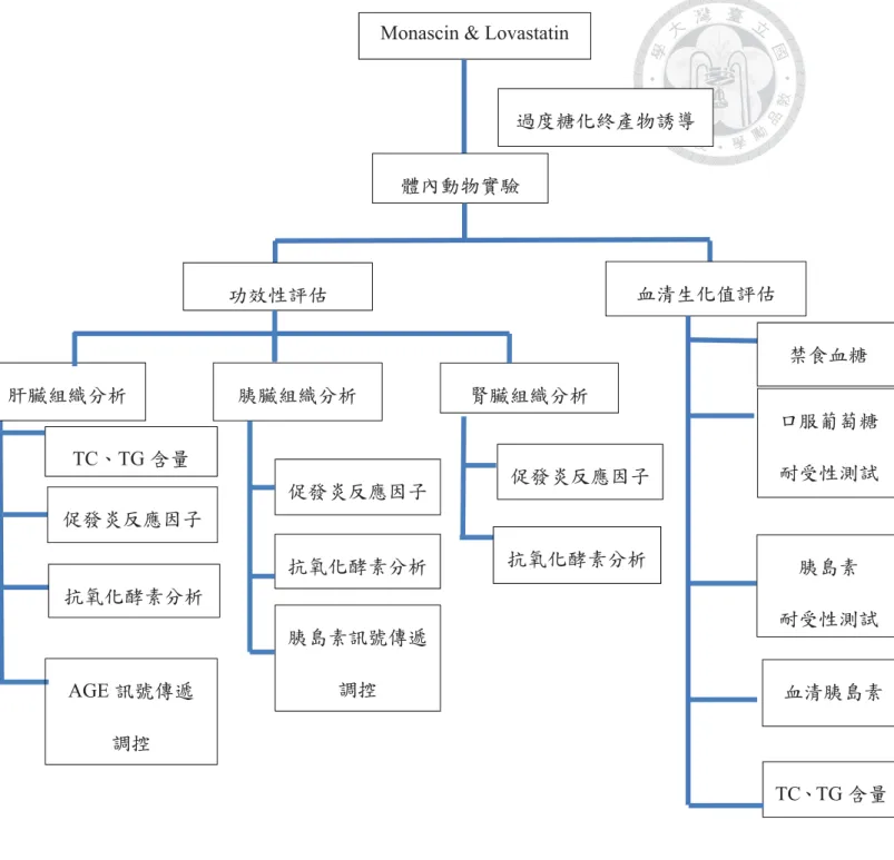 Fig. 2-9 The framework of the study 