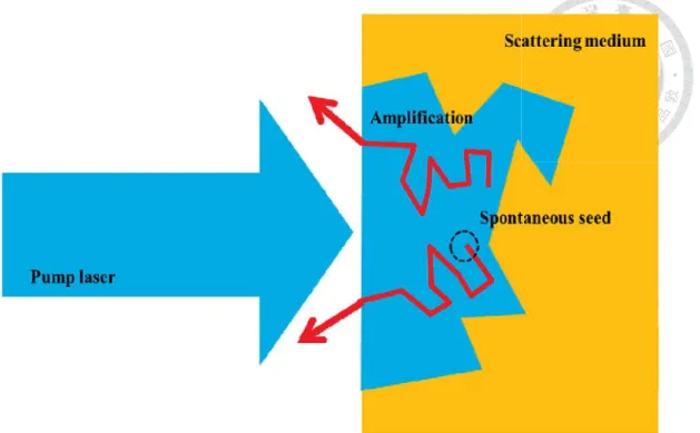 Fig. 1.2 Schematic representation of a random laser. 