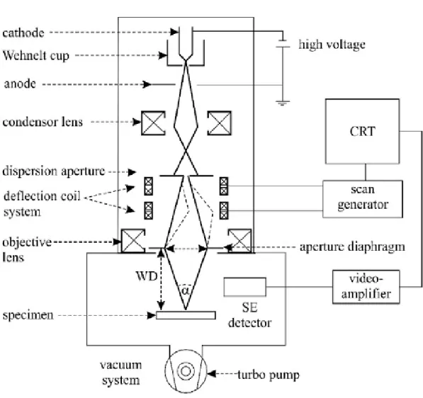 Fig. 3.2  The structural scheme of a typical scanning  electron microscope. 