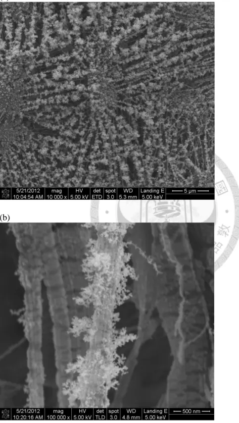 圖  4.  奈米銀微粒在掃瞄式電子顯微鏡(SEM)下觀察結果  (a)一萬倍倍率，(b)十萬倍倍率 