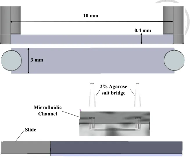 Figure 2. Microfluidic Channel. 