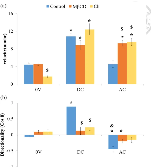 Figure 8. Ch and MβCD impair galvanotaxis 
