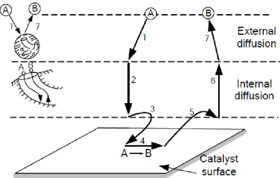 Fig. 2.3 Steps in a Heterogeneous Catalytic Reaction [22] 