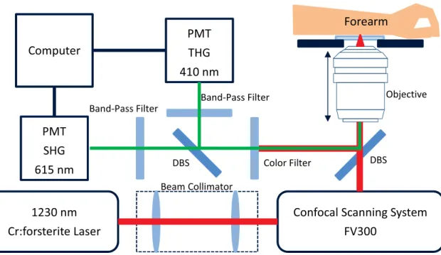 Fig. 1. A schema of the 1230 nm-based harmonic generation biopsy system; PMT: photomultiplier tube; 
