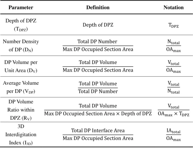 Table 1. Summary of parameter definitions and notations in the in vivo analysis  of dermal papillae within dermal papilla zone 