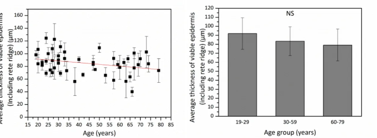 Fig. 8. Average thickness of viable epidermis (including rete ridge) versus age from the ventral forearms of  47 Asian subjects (skin phototype III &amp; IV)
