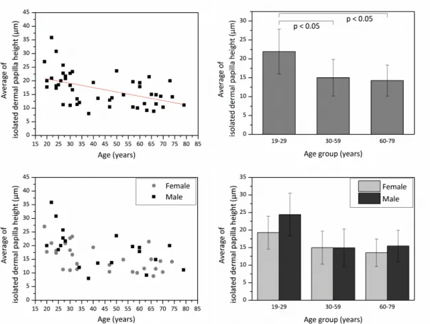 Fig. 9. Average of isolated dermal papilla height versus age from the ventral forearms of 48 Asian subjects  (skin phototype III &amp; IV)