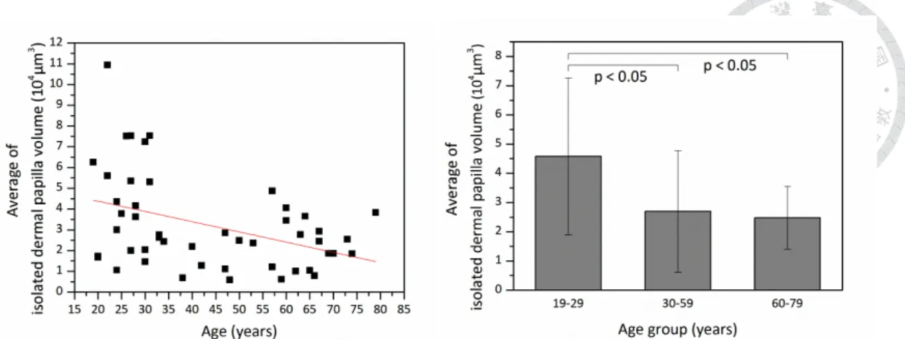 Fig. 12. Average of isolated dermal papilla volume versus age from the ventral forearms of 48 Asian  subjects (skin phototype III &amp; IV)