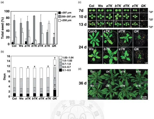 Figure 2.2 The QK mutant showed smaller seed size, growth retardation and altered morphologies