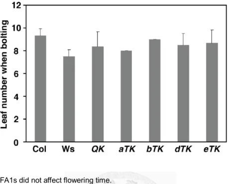 Figure 2.3 HSFA1s did not affect flowering time.   