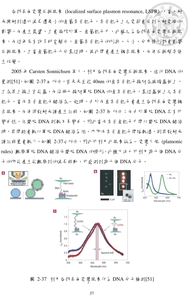圖  2-37  利用局部表面電漿現象作為 DNA 分子檢測[51] 