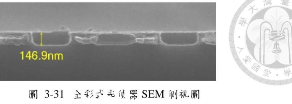 圖  3-31  全彩式光偵器 SEM 側視圖 