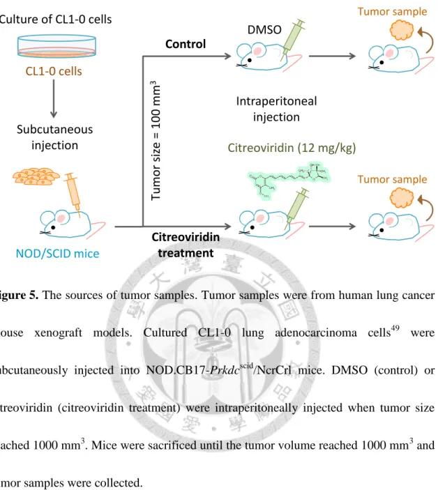 Figure 5. The sources of tumor samples. Tumor samples were from human lung cancer 