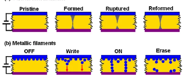 Figure 1.4. Schematic illustration of the formation of (a) carbon-rich filaments and (b)  metallic filaments, and the relevant switching effects