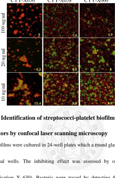 Fig. 2. Identification of streptococci-platelet biofilm specific  inhibitors by confocal laser scanning microscopy 