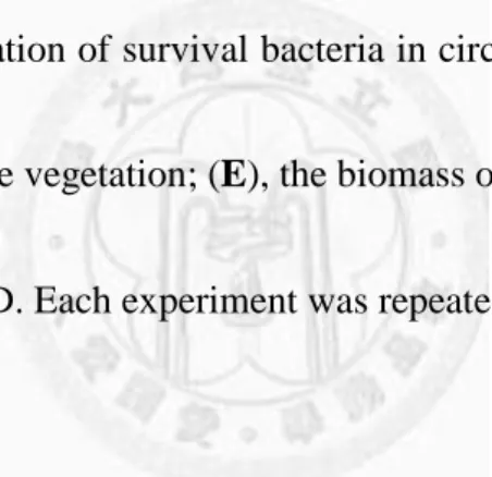 Fig. 8. Inhibition effect of targeted small molecules on biofilm  formation in rat endocarditis model 