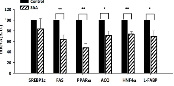 Fig.    2-1  Effects  of  hSAA1  on  the  expression  of  lipid  metabolism-associated  genes