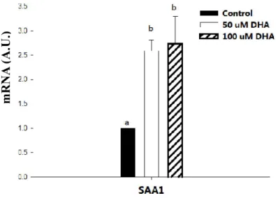 Fig  2-3.  The  effect  of  DHA  on  the  expression  of  SAA1  in  primary  human  adipocytes