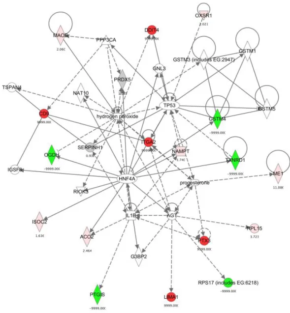 Fig  3-3.    Functional  analysis  of  Tetranectin  in  human  adipocytes  by  proteomic  analysis