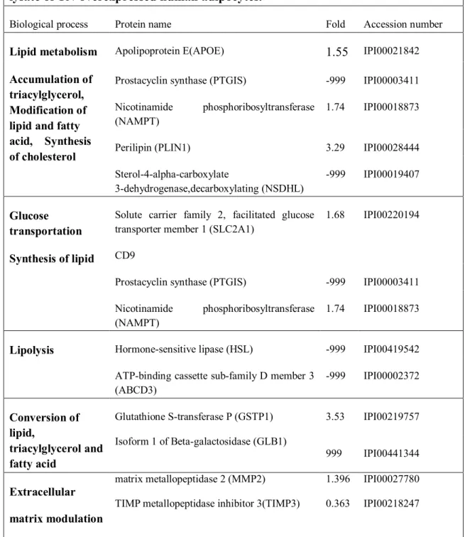 Table 3-1. Examples of function analysis from large scale analysis of the total cell  lysate of TN-overexpressed human adipocytes.