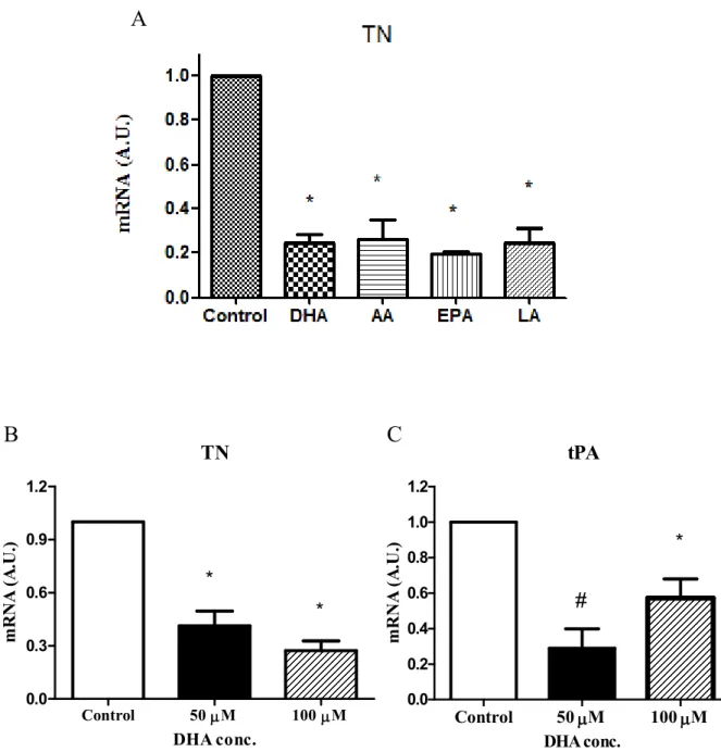 Fig.  3-7  The  mRNA  concentration  of  TN  and  tPA  in  human  adipocytes  were  significantly  inhibited  by  PUFA