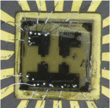 Figure 4.3.1:  The optical image of the SGS structure. (This device was made by  Lung-Yi Huang and Yu-Feng Huang.) 