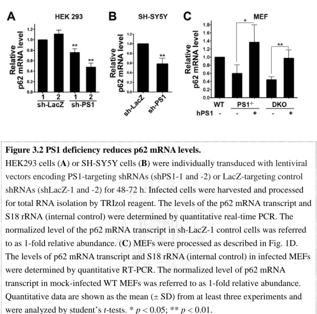 Figure 3.2 PS1 deficiency reduces p62 mRNA levels.   