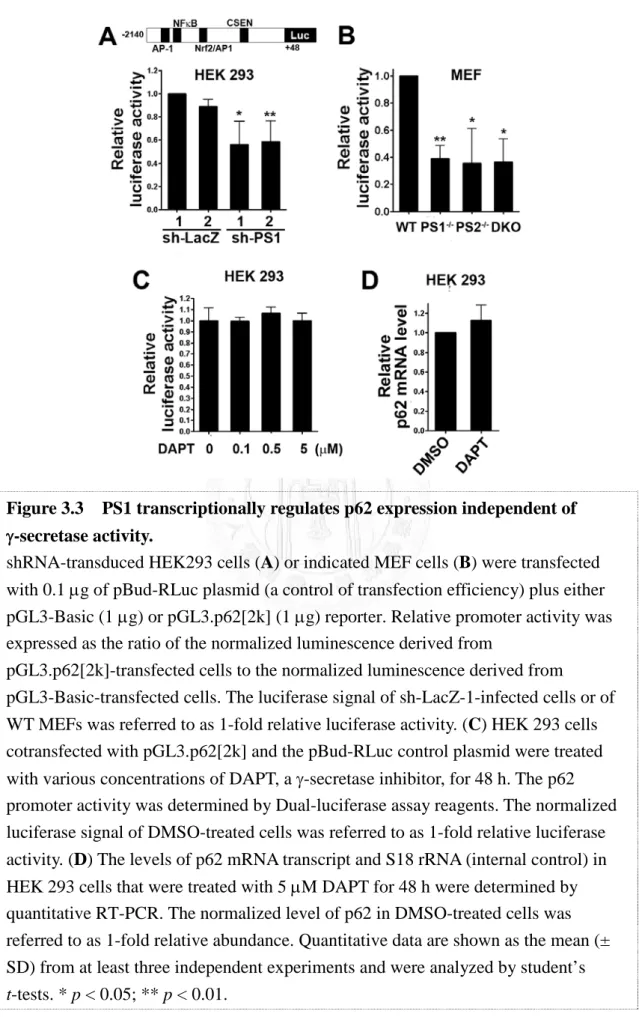 Figure 3.3    PS1 transcriptionally regulates p62 expression independent of  γ-secretase activity