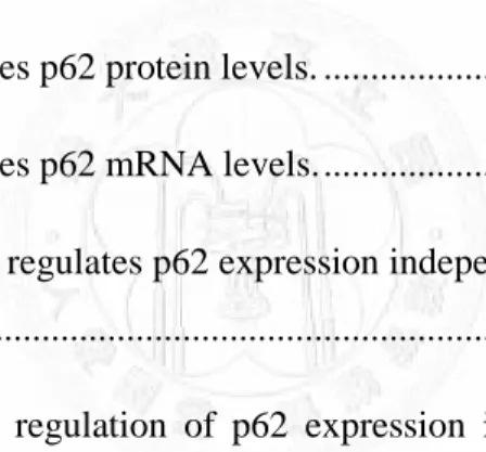 Fig 1.1 Schematic depiction of macroautophagy, lipidation process and aggrephagy. ...