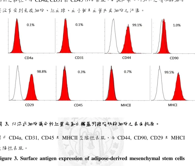 圖  3.  以流式細胞儀分析紅螢光蛋白轉基因豬脂肪幹細胞之表面抗原。 