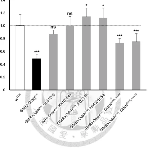 Figure 6. Normalized values of eye area to w 1118  control. Genotypes are indicated  below the graph