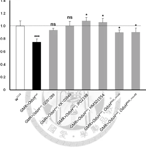 Figure 7. Normalized values of eye circumference to w 1118  control. Genotypes are  indicated below the graph