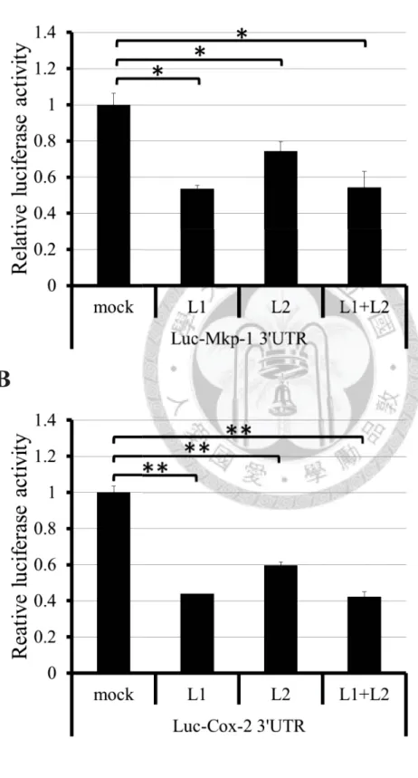 Figure 3. Zfp36l1 and Zfp36l2 down-regulate the Mkp-1 and Cox-2 3’UTR -mediated luciferase reporter activity and interact with deadenylase Caf1a.