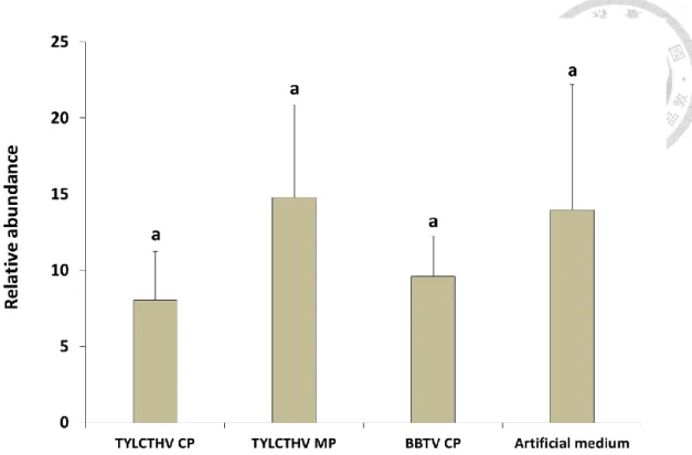 Figure  4.  Relative  abundance  of  TYLCTHV  in  Bemisia  tabaci  after  feeding  recombinant viral proteins and the virus sequentially