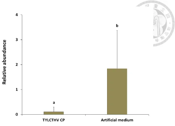 Figure  7.  Relative  abundance  of  ToLCTWV  in  Bemisia  tabaci  after  feeding  recombinant TYLCTHV CP and the virus sequentially