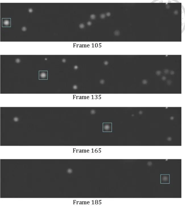 Figure 2.1  粒子移動過程中亮度漸減的範例 