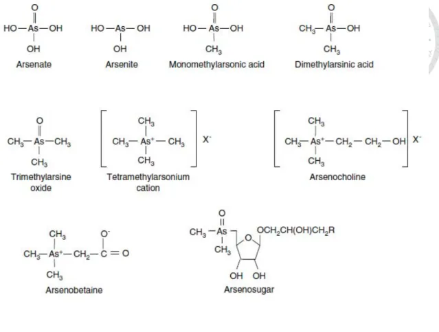 Fig. 1 Structural formulae of arsenic species. 