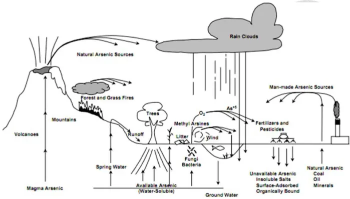 Fig. 2 Arsenic cycle in nature. 