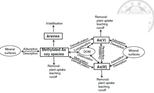 Fig. 3 Arsenic cycle in soil.