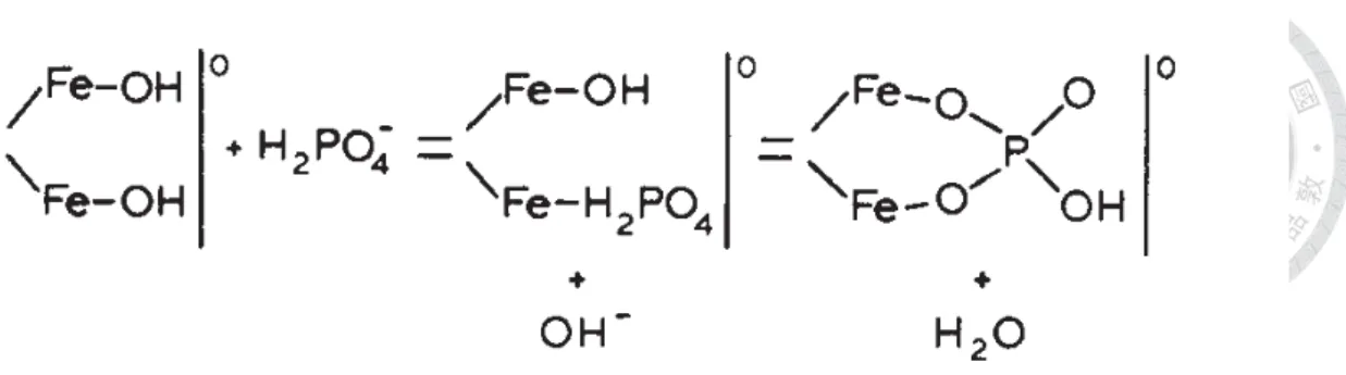 Fig. 5 Phosphate and Fe oxides form stable inner-sphere complexes.