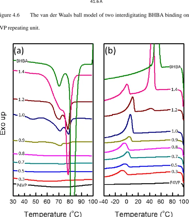 Figure 4.6  The van der Waals ball model of two interdigitating BHBA binding on a  4VP repeating unit