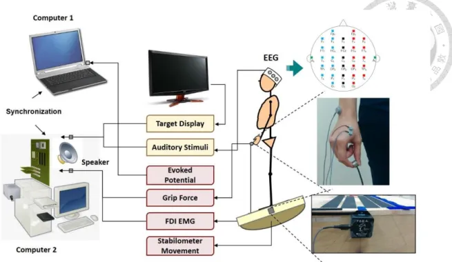 Figure 2. Experimental setup of the study.   