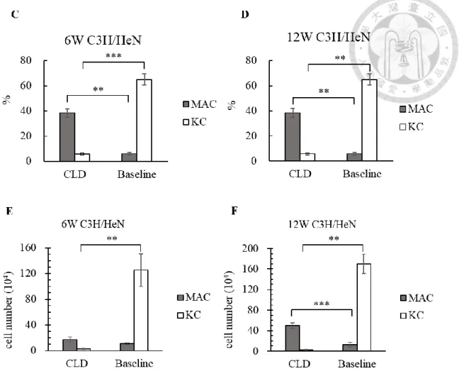 Figure 3. The efficiency of KCs depletion by using clodronate  liposome 