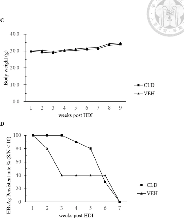 Figure 4. HBV persistent rate of young C3H/HeN mice was  reduced after the depletion of KCs 
