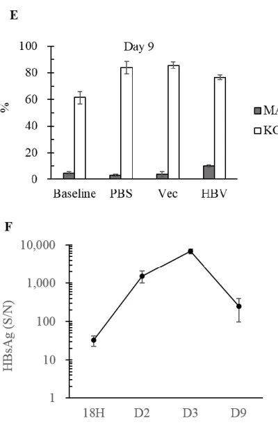 Figure 6. HDI time course of adult C3H/HeN mice 