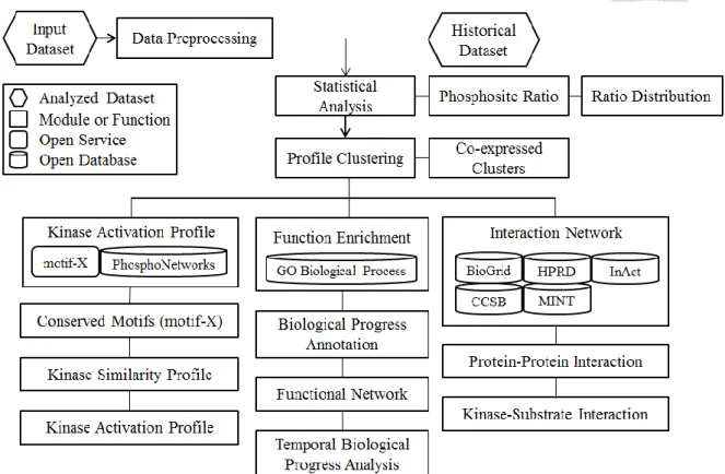 Figure 4 The architecture and workflow of Dyanpho 