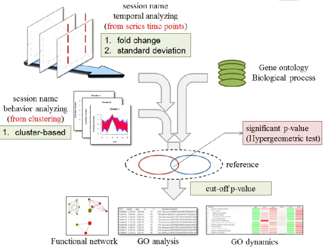 Figure 8 The analyzing flow of function enrichment module 